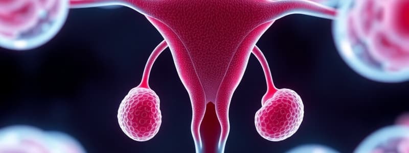 The Reproductive System Quiz