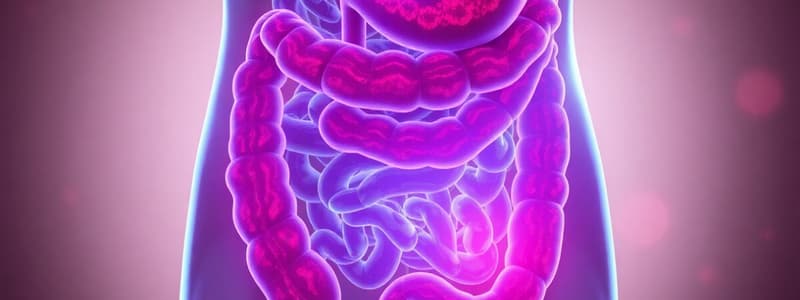 CSD | Gastrointestinal Disorders Quiz