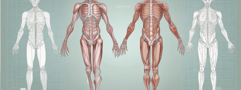 Medical Terminology Basics Quiz