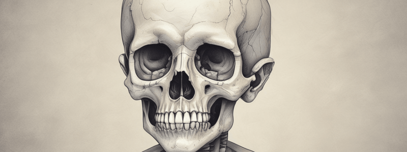 Craniosynostosis and Its Syndromic Associations