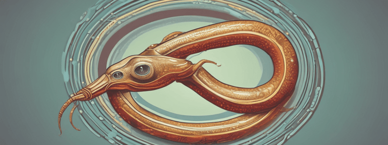 Ciclo biológico del Schistosoma mansoni