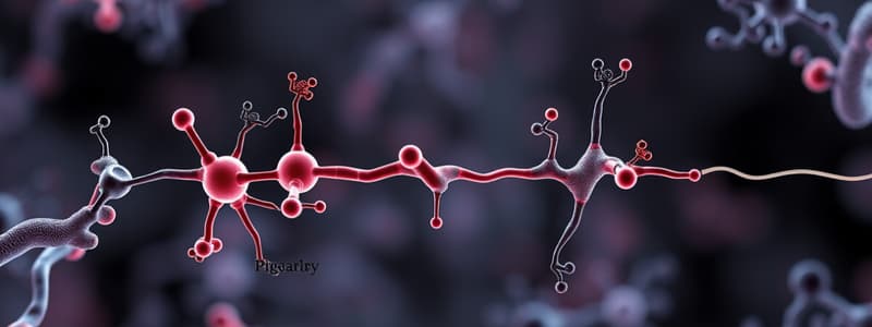 L6 Receptors as drug targets 3