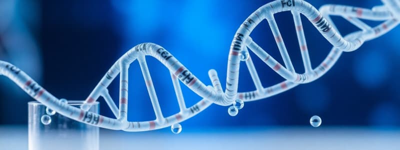 Restriction Enzymes Overview