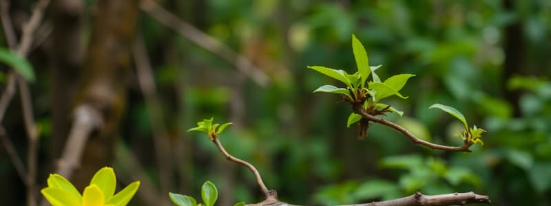 Biodiversity and Its Importance in India