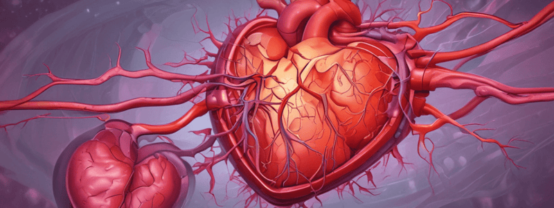 Cardiovascular Pathology: Endocarditis and Rheumatic Fever