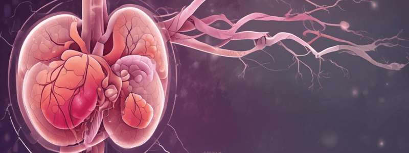 Fisiopatología de la Enfermedad Renal Crónica