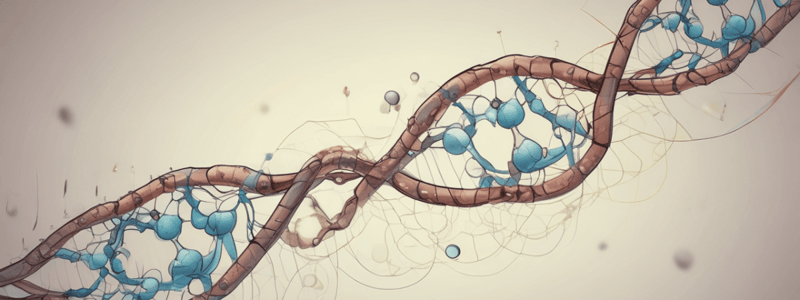 Chapter 6: How Cells Read the Genome - Transcription and RNA Synthesis