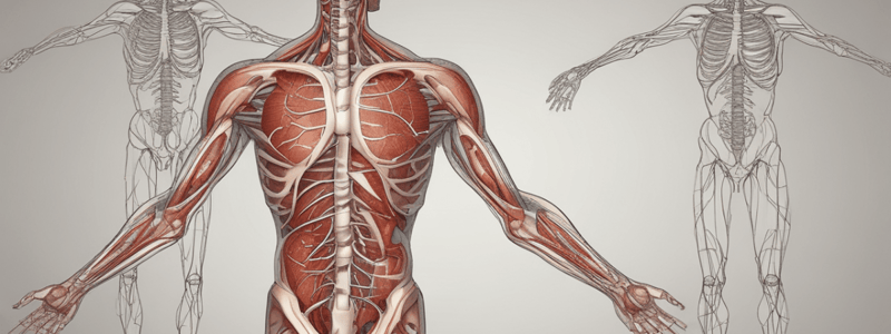 Understanding Body Systems