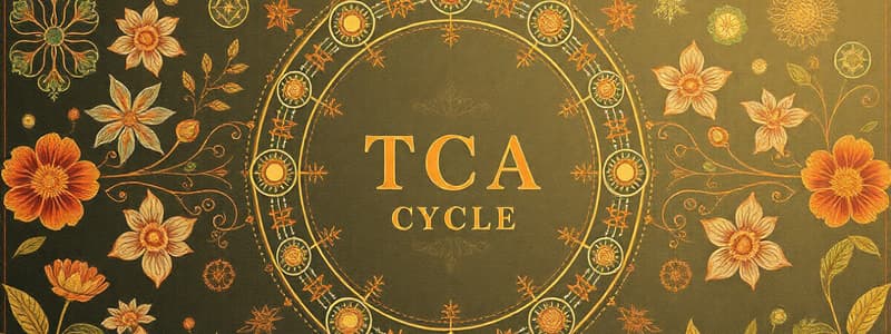 Biochemistry TCA Cycle Quiz