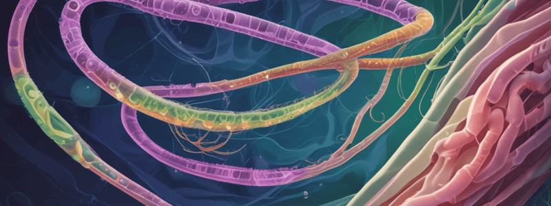 TEMA 3: Tratamiento de Helicobacter Pylori: Consideraciones para Pruebas de Erradicación