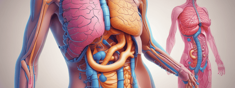 MBBS Year 1 Gastrointestinal Lectures