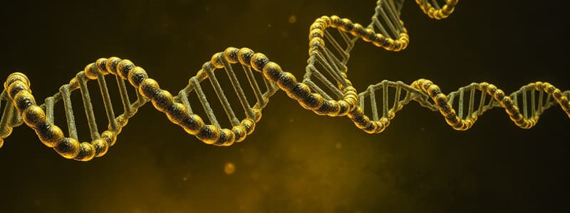 DNA Replication Processes