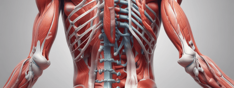 BMS150 wk 9 muscle physiology 2