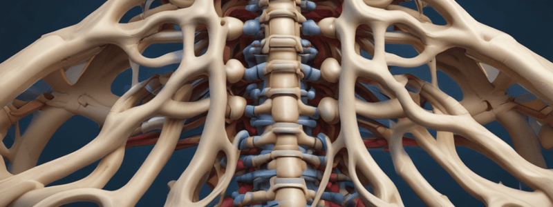 Vertebral Spine Mobility Quiz