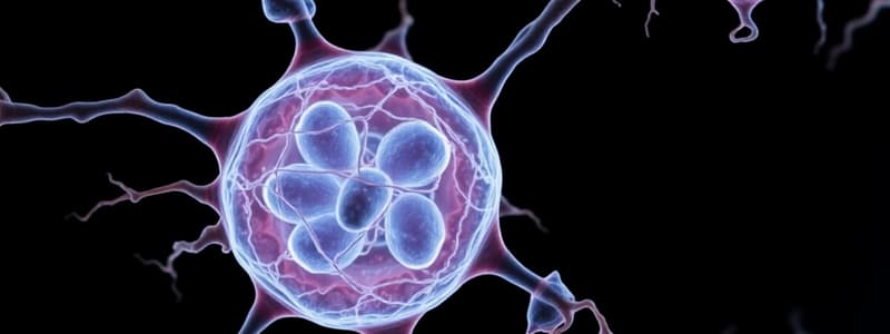 Biology Chapter: Mitosis and Chromosome Structure