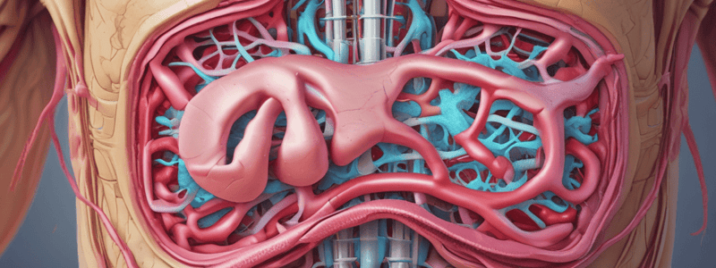 Stomach Anatomy and Nerve Supply Quiz