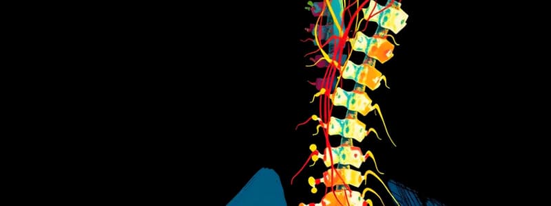 Cervical Plexus Overview Quiz