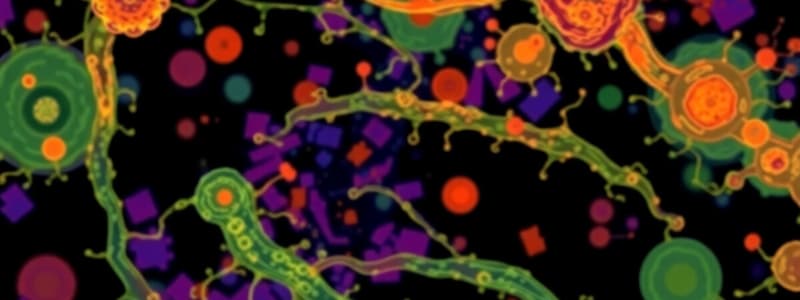 Klebsiella pneumoniae Biofilm and Resistance