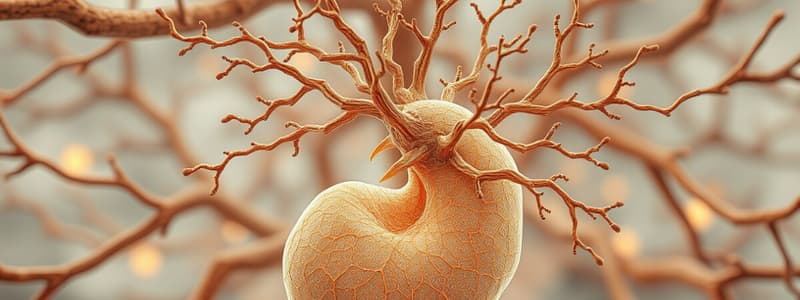 Development of the Nervous System