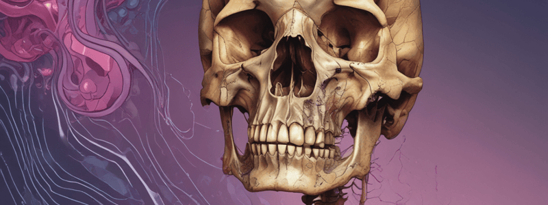 Pathology of Neoplastic Bone Disorders Quiz