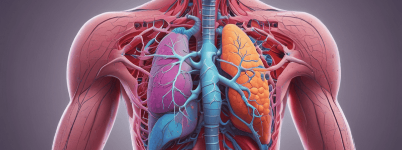 Respiratory System Chapter 22 Quiz