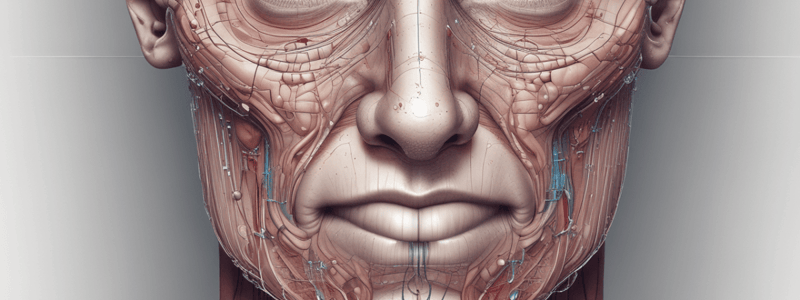 Respiratory System: Nose Anatomy and Function