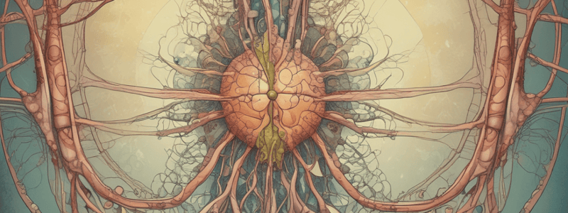 Autonomic Nervous System Mechanisms