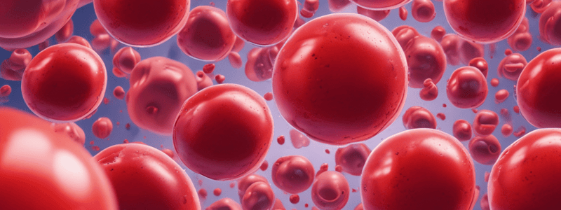 Anaemia: Types and Causes