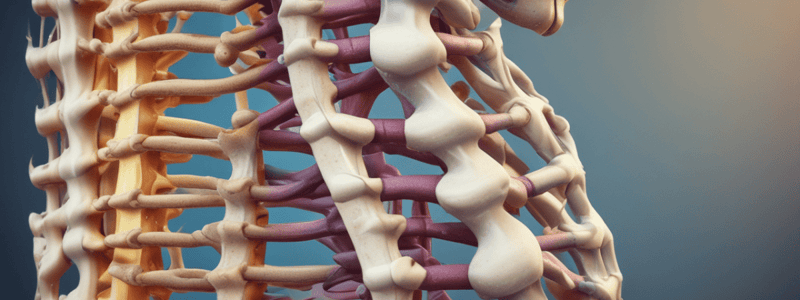 Vertebral Spine Mobility Quiz