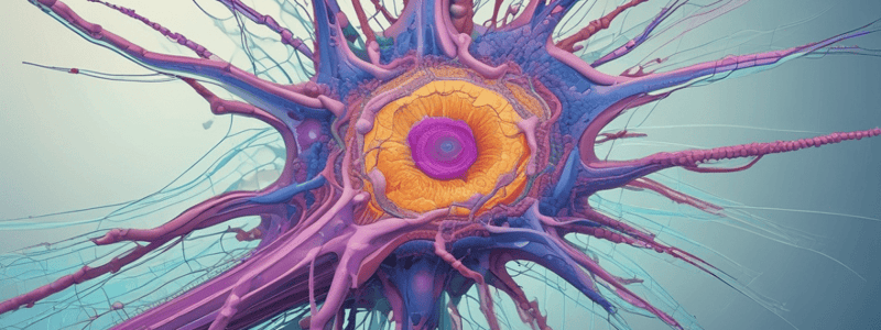 Cytoskeleton Structure and Functions