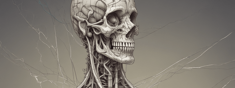 Autonomic Nervous System (ANS) and Sympathetic Nervous System (SNS)