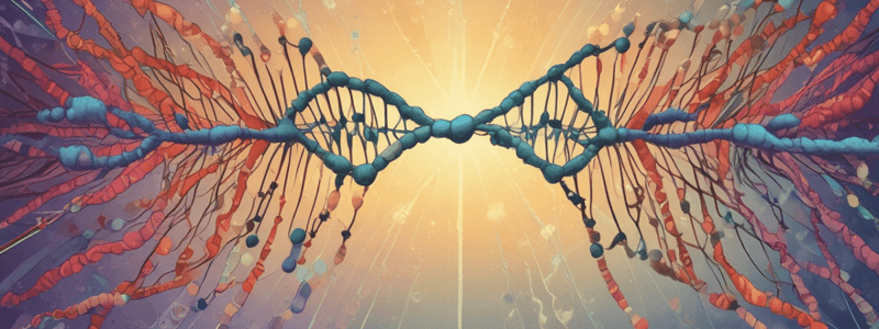 Chromosomal Translocation and Abnormalities