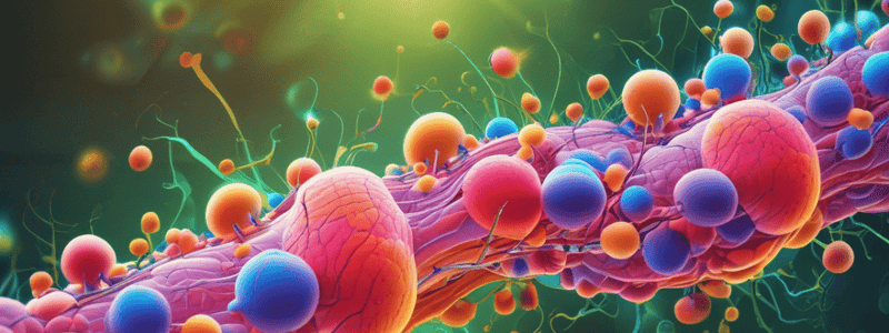 Cellular Respiration: Harvesting Chemical Energy Quiz