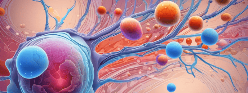 Stem Cell Differentiation and Transcription Factors