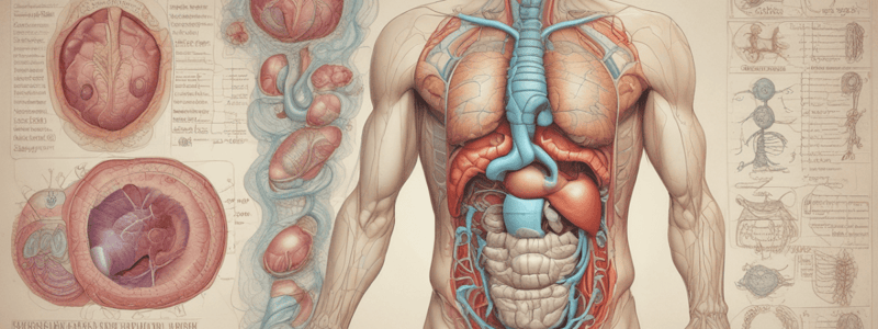 Fisiologia da Produção de Bile