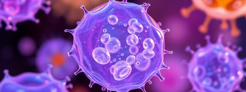 Prokaryotic vs Eukaryotic Cells