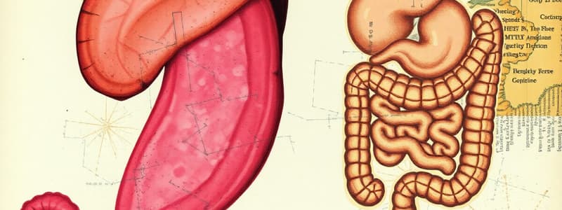 Histologia do Sistema Digestório