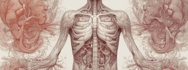 The Respiratory System