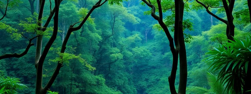 Rainforest Conservation in China