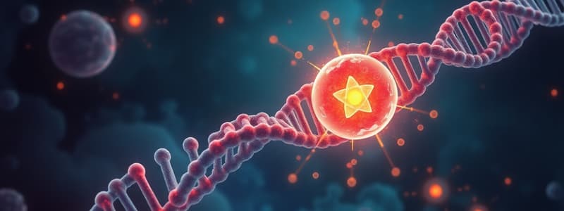 DNA Replication Process Overview