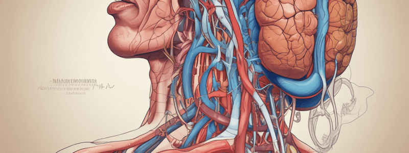 Anatomy of the Digestive System