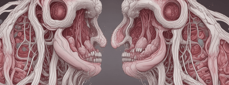 Anatomy of Taste Buds