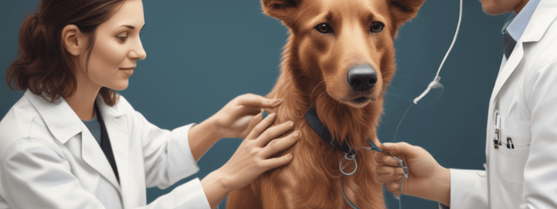 General Injection Techniques in Veterinary Medicine