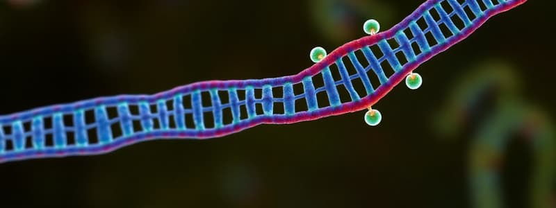 15 - Mecanismos de Reparación de ADN