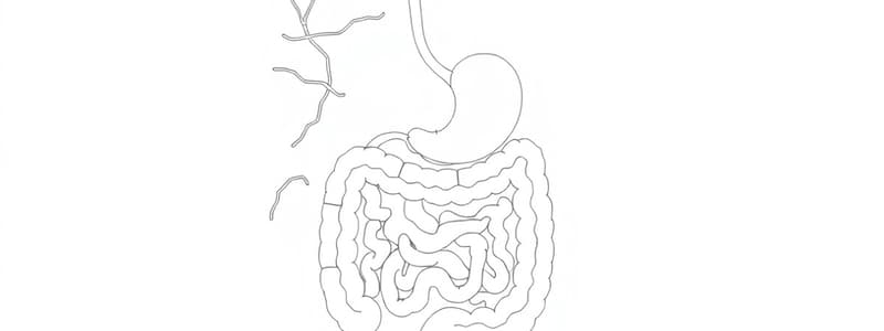 Regolazione dell'Apparato Digerente (Fisiologia 57)