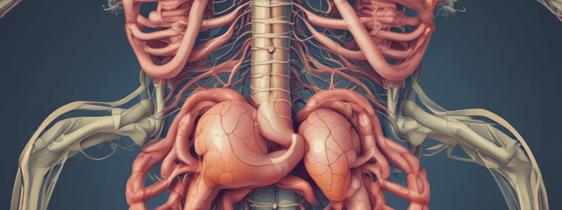 Gastrointestinal System Physiology