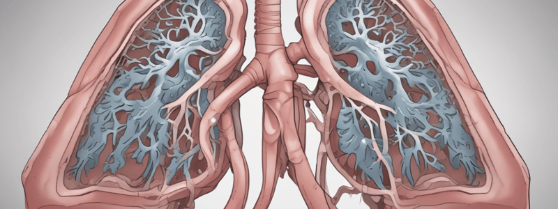 Respiratory System Disorders Quiz