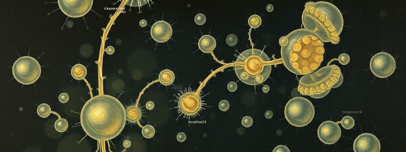 Biochemistry of Saccharomyces cerevisiae