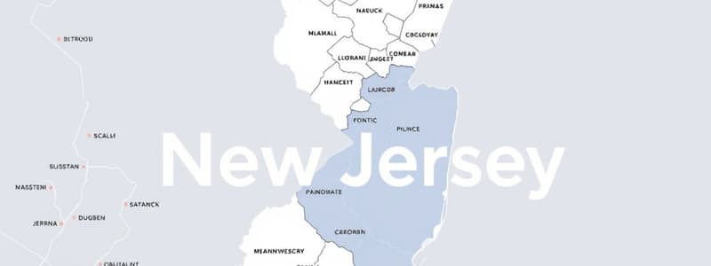 Local Government in New Jersey