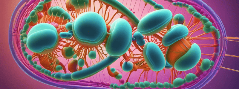 Cell Cycle and Cell Division Quiz